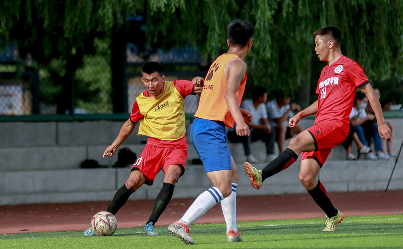为纪念马拉多纳去世五周年，巴塞罗那阿根廷领事馆举办艺术展（阿根廷驻巴塞罗那领事馆举办艺术展纪念马拉多纳逝世五周年）